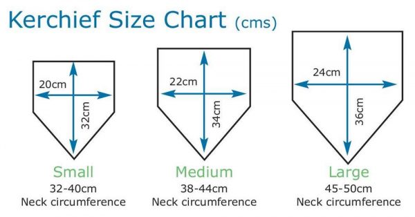 Dimension sizes of Seenin kerchief bib