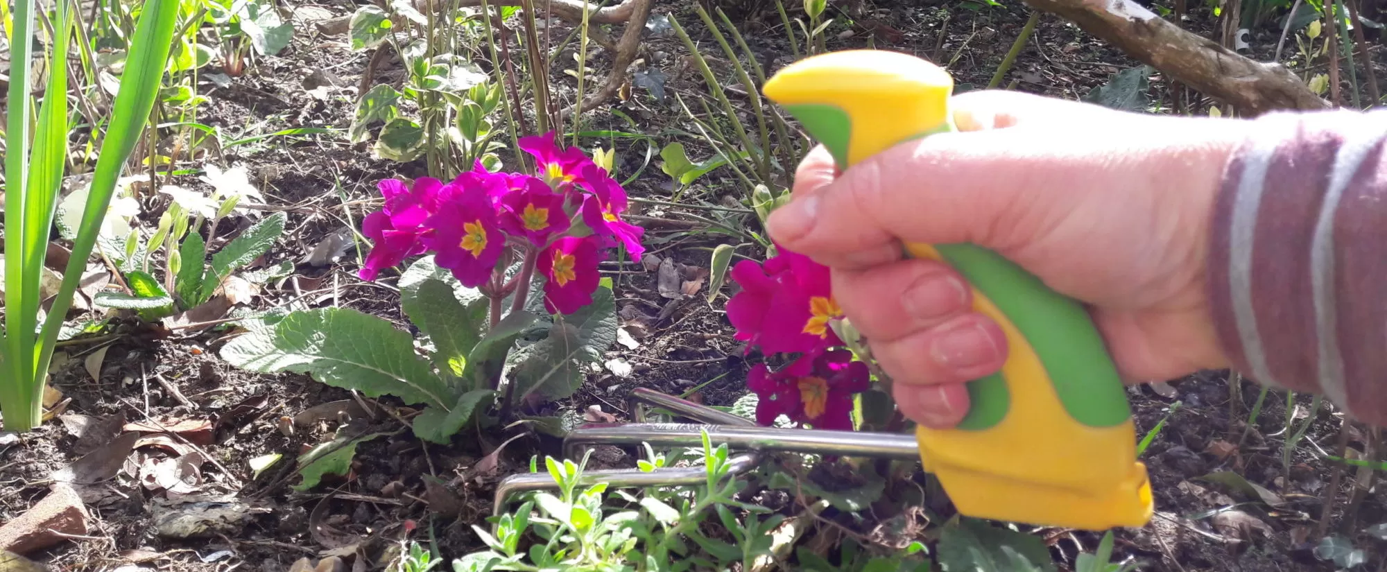 Easi-Grip garden fork being used in flower bed