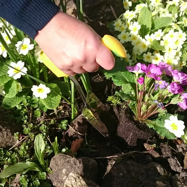 Easi-Grip garden trowel being used in flower bed