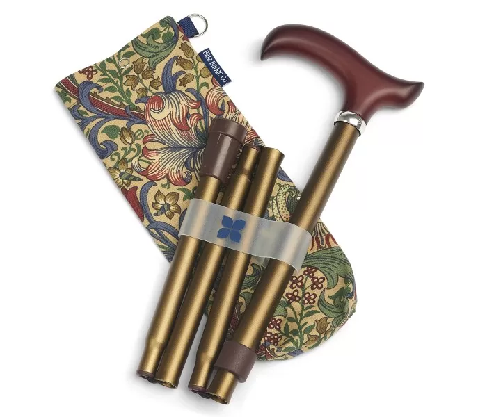 Bronze Walking Stick and Golden Lilly Bag