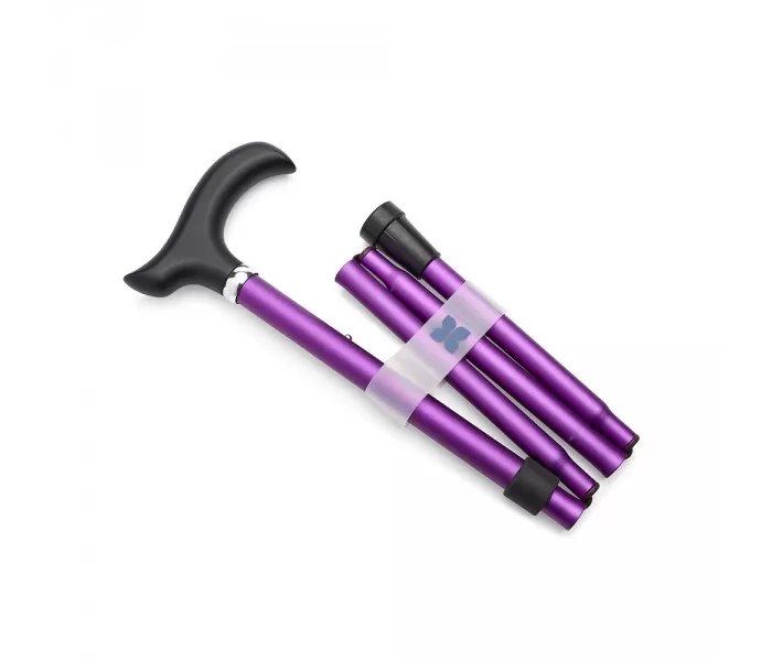 Purple Walking Stick