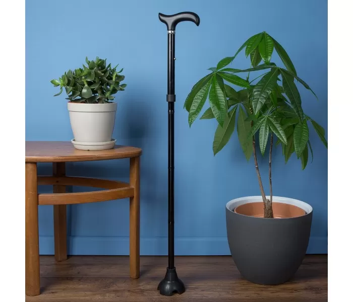 Black Freestanding Folding Walking Stick