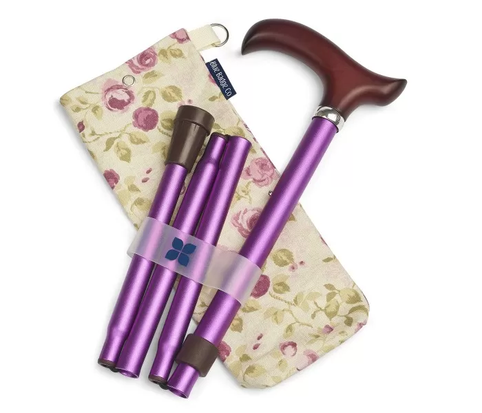 Stylish folding walking stick and bag folded