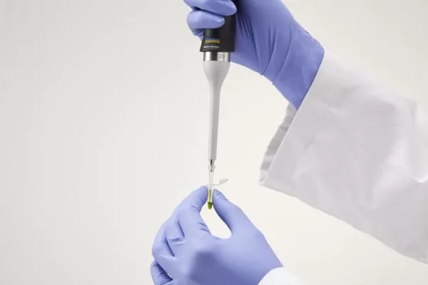 Protect disposable nitrile gloves - Image 3