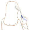Diagram showing long handled brush