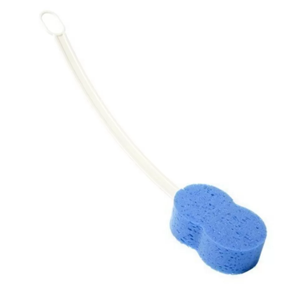 A long Handled Sponge