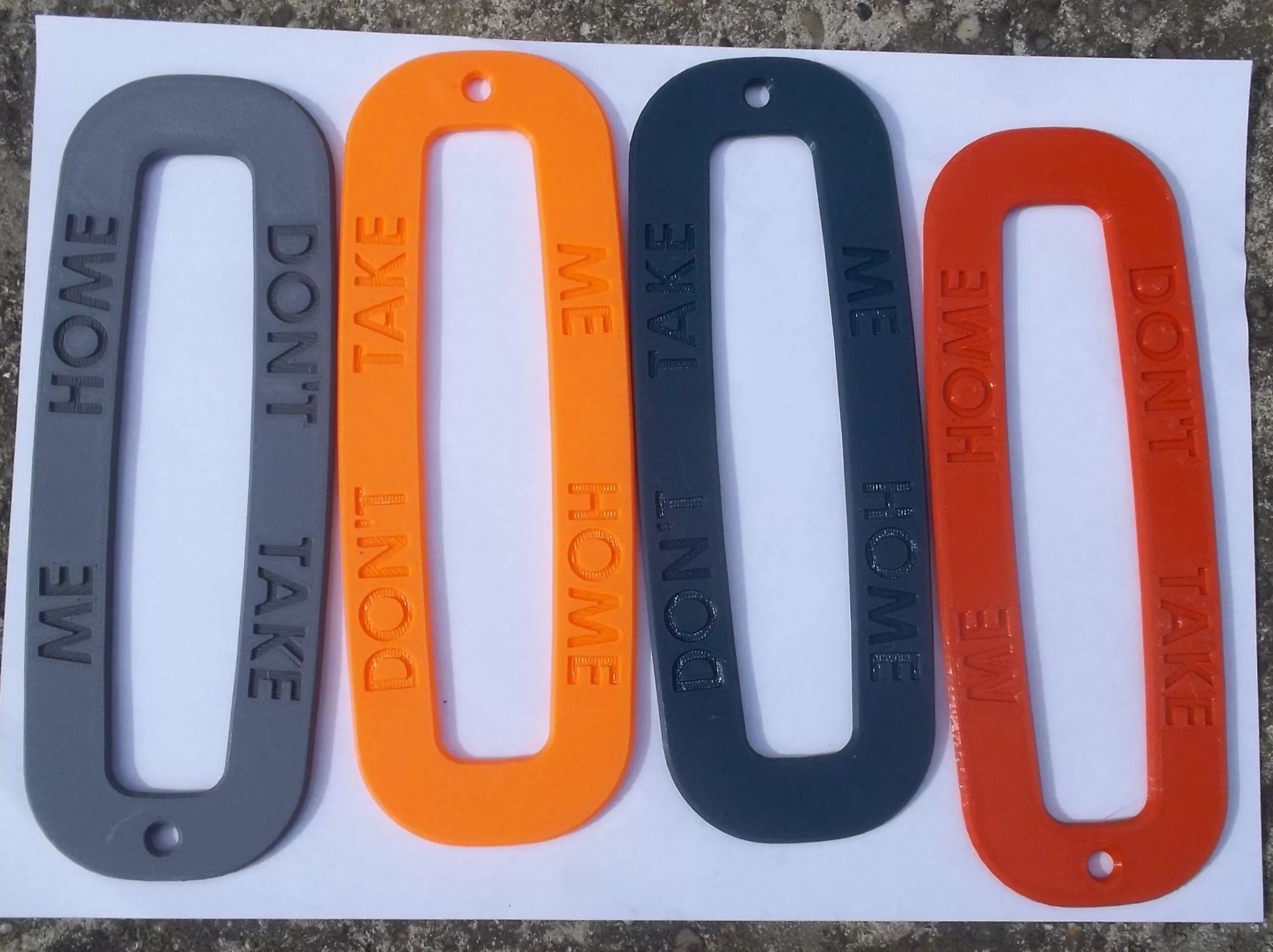 Don't Take Me Home! - extra large key fob for important keys - Image 4