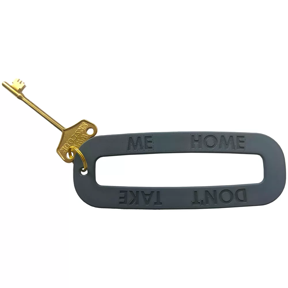 Don't Take Me Home! - extra large key fob for important keys