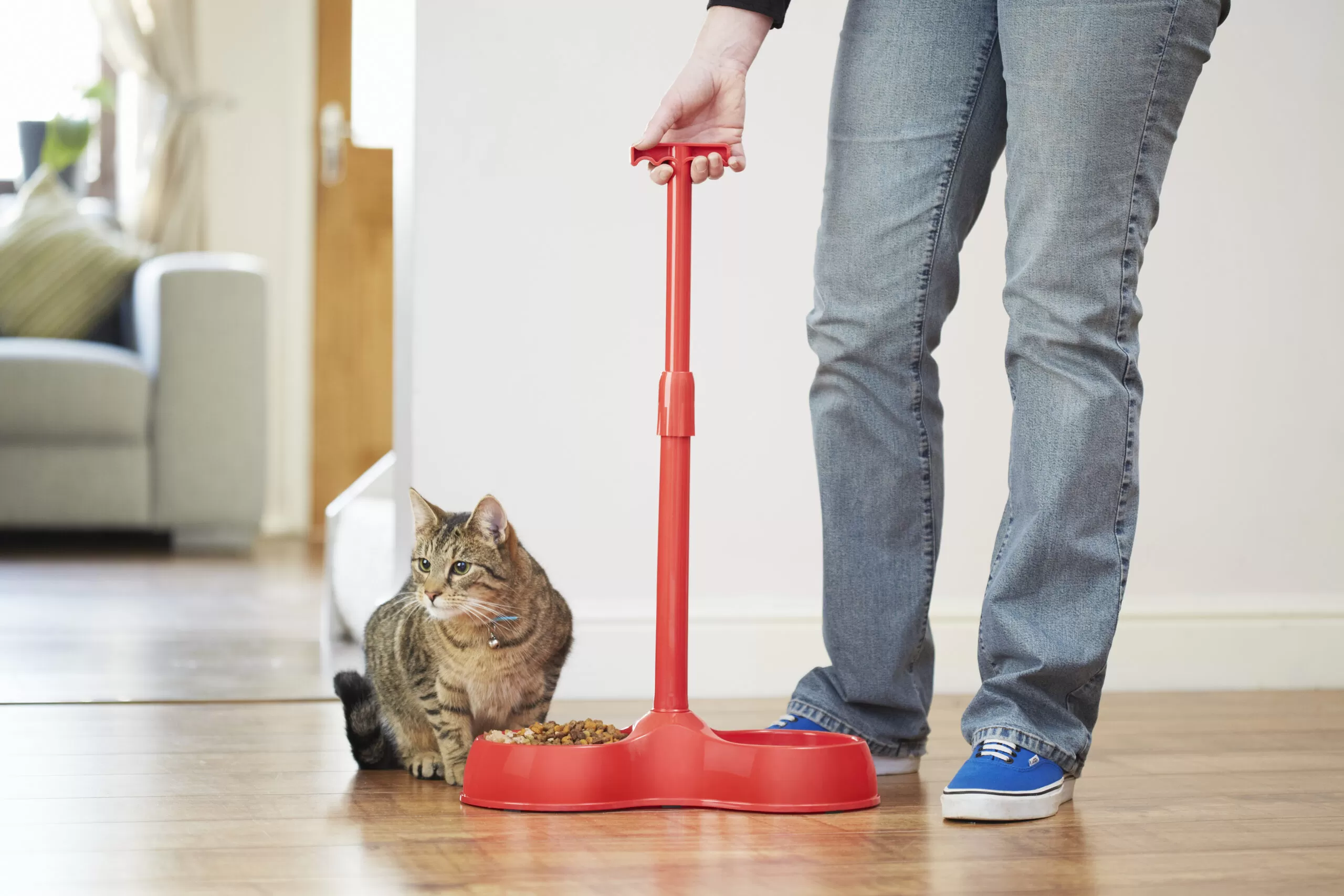 No-bend pet bowl with height adjustable handle - Image 5