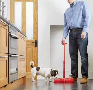 No-bend pet bowl with height adjustable handle