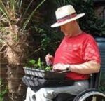 trabasqack being used to pot up plants in the garden by a man in a wheelchair with a hat