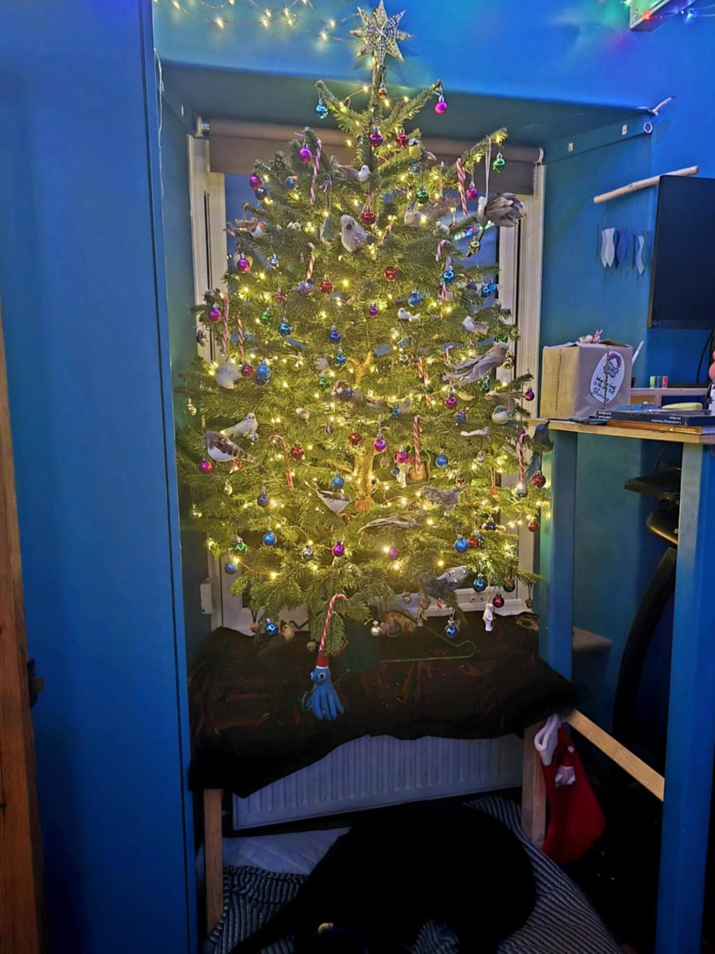 A Christmas tree glows with warm white lights, colorful baubles, candy canes, and bird ornaments. A gold star tops the tree. A black dog lies on a cushion underneath.