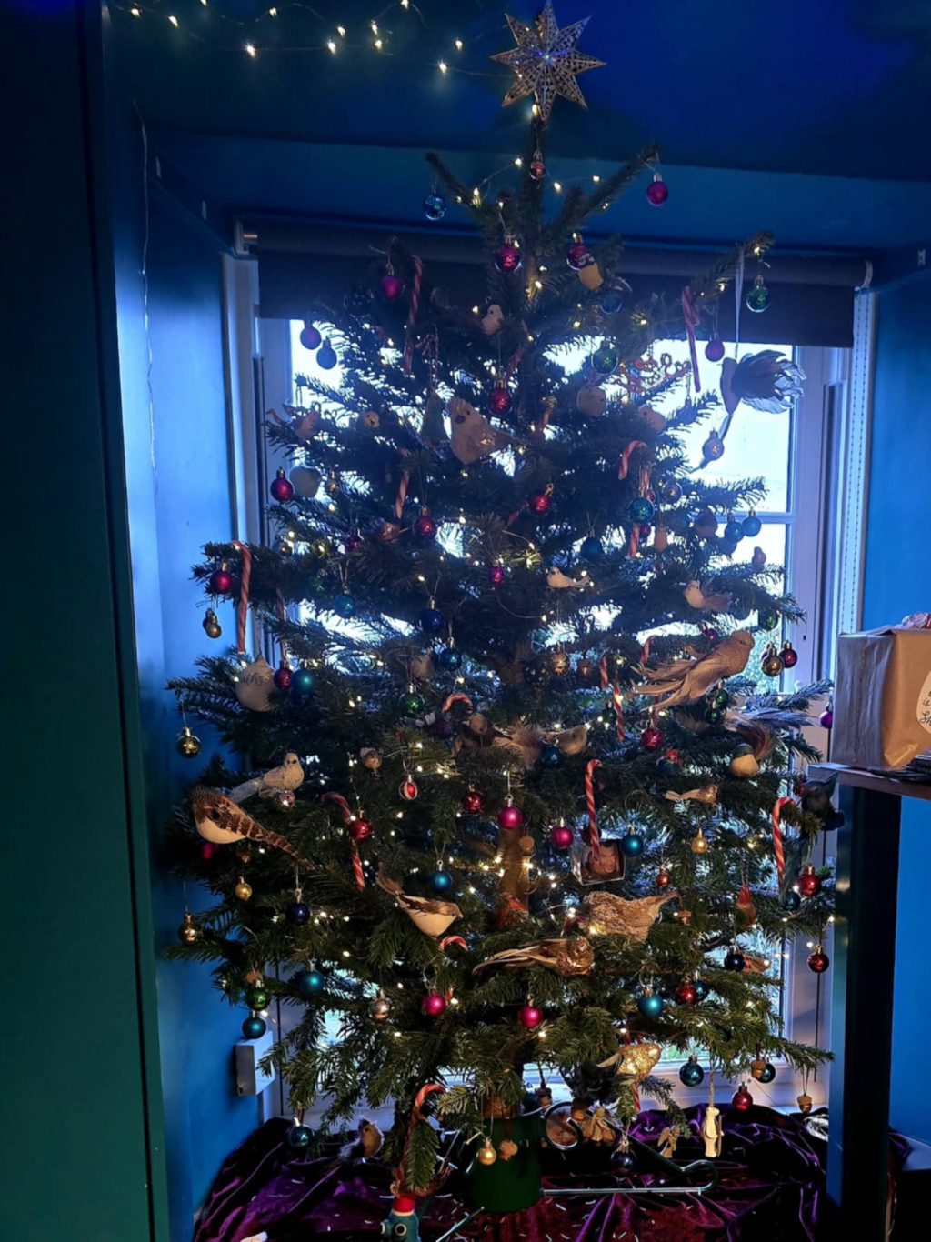 A decorated Christmas tree stands in front of a window, covered with lights, colorful baubles, birds, and candy canes. A star tops the tree.
