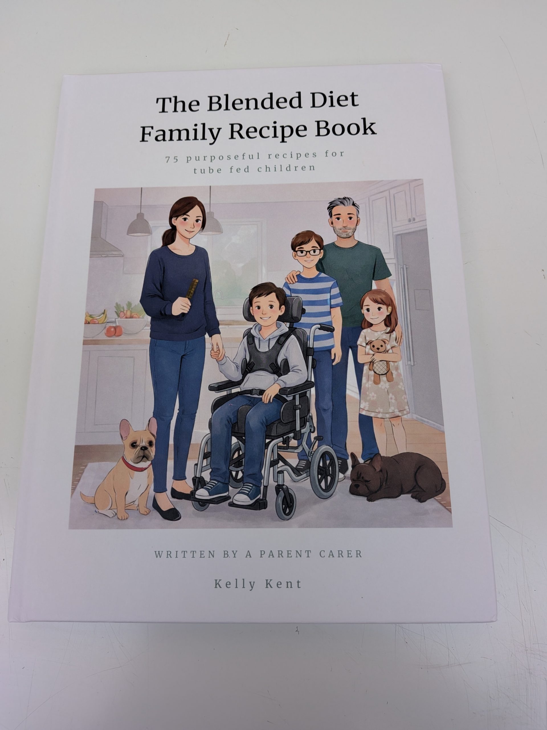 Blended Diet Book Paperback
