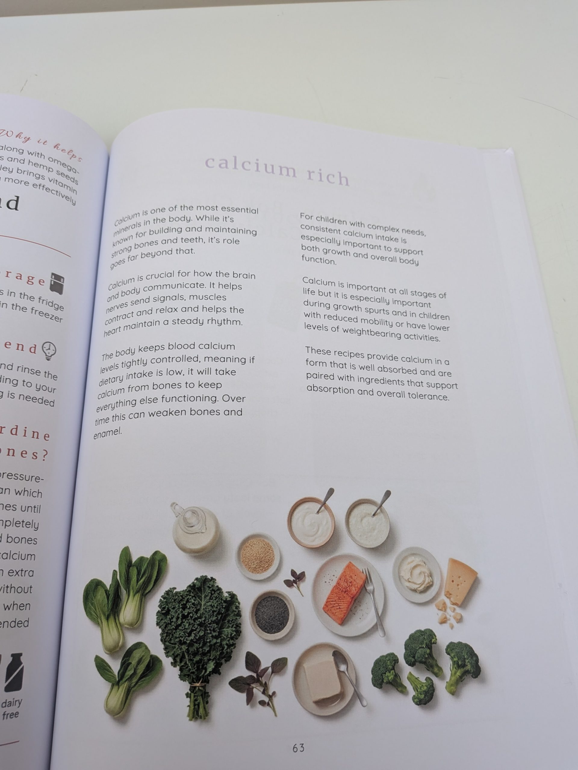 Calcium-rich nutrition section from Kelly Kent’s blended tube feeding recipe book, showing leafy greens, dairy foods, salmon and broccoli.